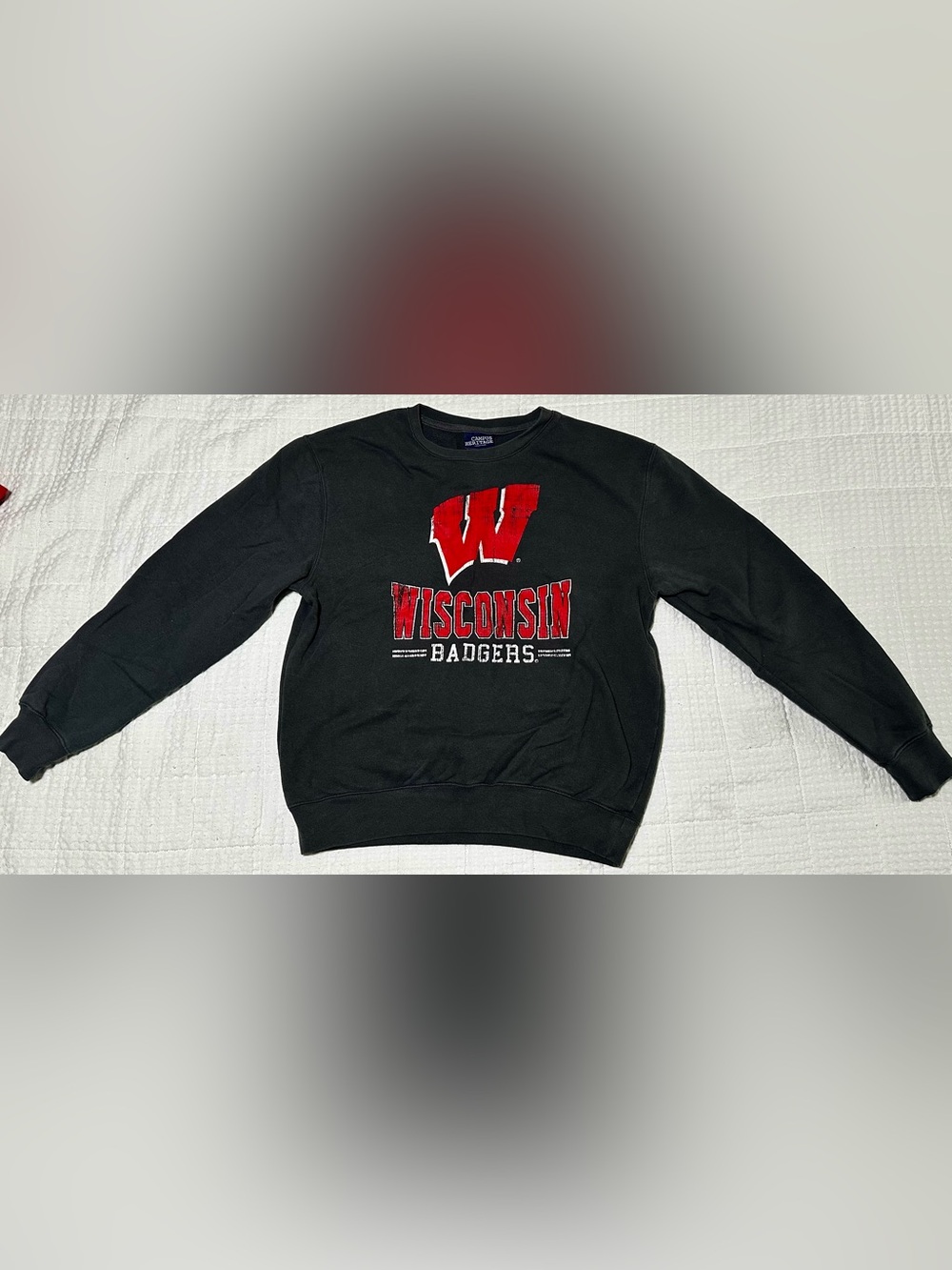 Campus Heritage Wisconsin Sweatshirts (qty. 2)